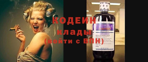 2c-b Пестово