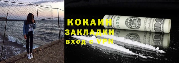 2c-b Пестово