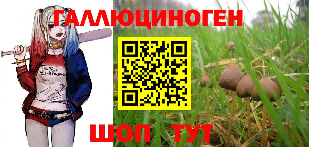 Галлюциногенные грибы Magic Shrooms Бахчисарай