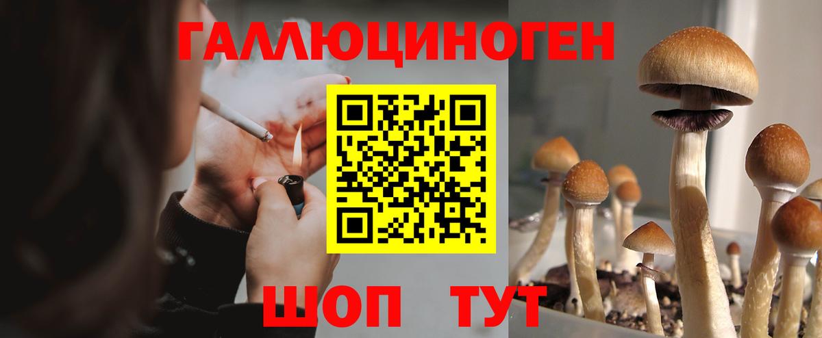 Бахчисарай  Псилоцибиновые грибы Psilocybe  Вход с VPN  Галлюциногенные грибы GOLDEN TEACHER 
